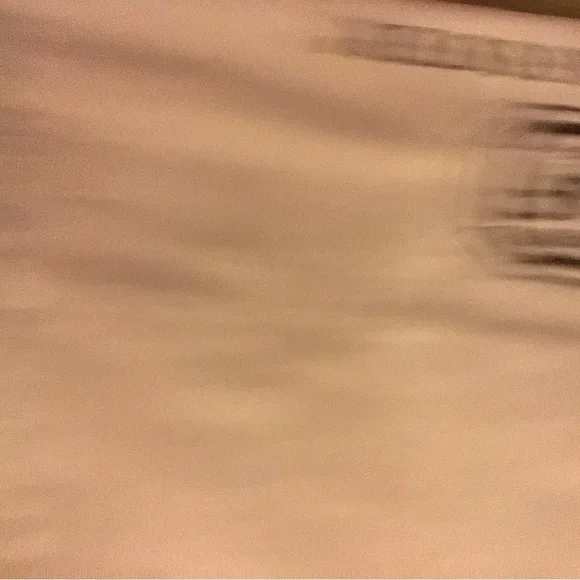 Stearns & Foster Cream Suede Paisley Roped Trim Luxury 58”Body Pillow Sham - Picture 7 of 11